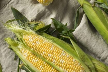 Serba Serbi Jagung Manis, Tips Memilih hingga Cara Memasaknya