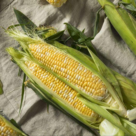 Serba Serbi Jagung Manis, Tips Memilih hingga Cara Memasaknya