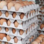 4 Cara Mudah Bedakan Telur Segar dan Telur Busuk