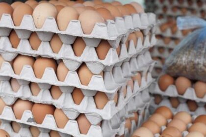 4 Cara Mudah Bedakan Telur Segar dan Telur Busuk