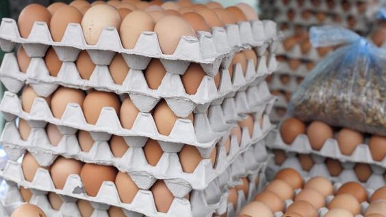 4 Cara Mudah Bedakan Telur Segar dan Telur Busuk