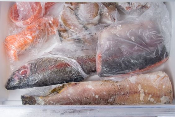 5 Tips Menyimpan Ikan di Kulkas Agar Tetap Segar dan Tak Busuk