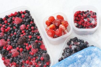Tips Mengolah Buah Agar Tidak Mudah Busuk