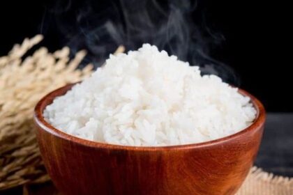 Lebih Baik Makan Nasi Hangat atau Nasi Dingin?