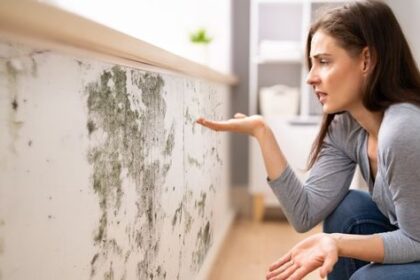 6 Tanda Rumah yang Tidak Sehat dan Jadi Sarang Penyakit