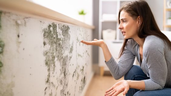 6 Tanda Rumah yang Tidak Sehat dan Jadi Sarang Penyakit