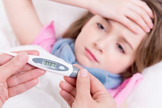 Mengenal Dengue Hemorrhagic Fever