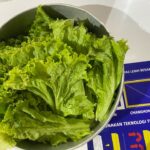 4 Cara Menyimpan Selada Tetap Segar dan Tidak Mudah Busuk