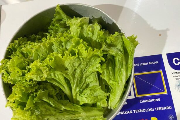 4 Cara Menyimpan Selada Tetap Segar dan Tidak Mudah Busuk