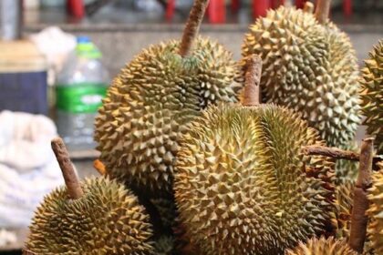 Tips Memilih Durian yang Enak, Manis, dan Berdaging Tebal