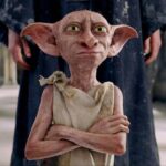 Sederet Fakta Menarik Tentang Dobby Syndrome yang Viral!