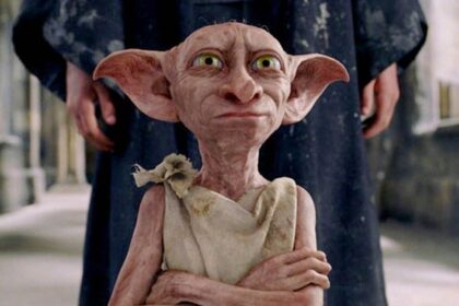 Sederet Fakta Menarik Tentang Dobby Syndrome yang Viral!