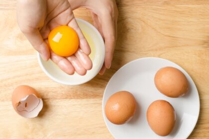 Rahasia di Balik Warna Kuning Telur Ayam