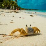 4 Tanda Perilaku Crab Mentality, Bisa Menghambat Keberhasilan!