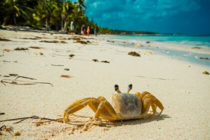 4 Tanda Perilaku Crab Mentality, Bisa Menghambat Keberhasilan!