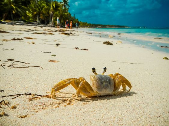 4 Tanda Perilaku Crab Mentality, Bisa Menghambat Keberhasilan!