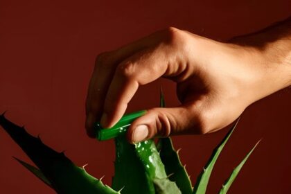 Tanaman Obat yang Cocok Menanamnya di Rumah
