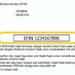 Cara Mudah Mengatasi Lupa EFIN Saat Lapor SPT