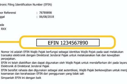Cara Mudah Mengatasi Lupa EFIN Saat Lapor SPT