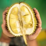 Pembuat Wine Penasaran dengan Wine Rasa Durian