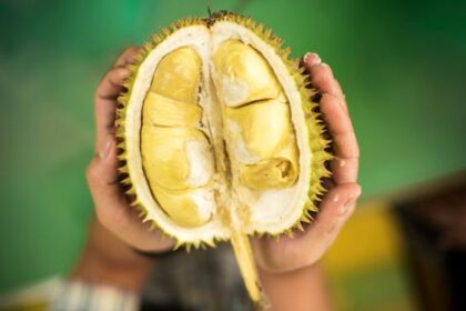 Pembuat Wine Penasaran dengan Wine Rasa Durian