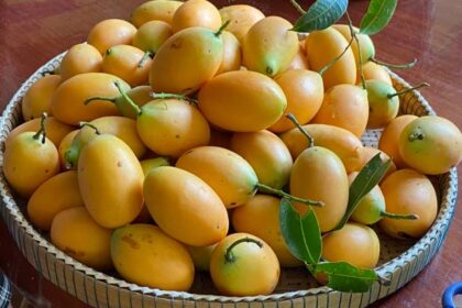 6 Buah-Buahan yang Hanya Ada di Indonesia, Apa Saja?