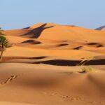 Tempat Terpanas di Dunia, Suhunya Tembus 70 Derajat Celsius!