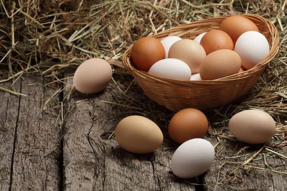 Makan Telur Ayam Kampung Saat Sahur Bantu Puasa Lebih Kuat