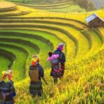 7 Hal Menarik Hanya Bisa Menjumpai di Indonesia