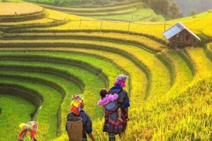 7 Hal Menarik Hanya Bisa Menjumpai di Indonesia