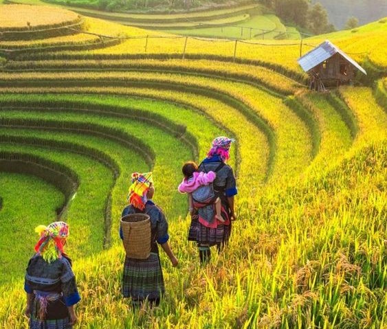 7 Hal Menarik Hanya Bisa Menjumpai di Indonesia