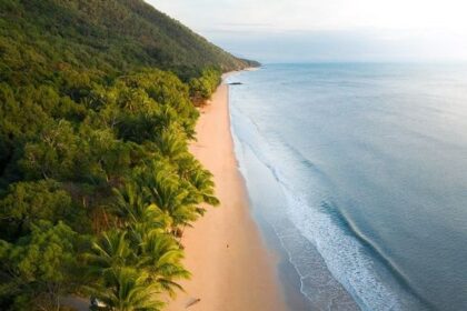 Pantai Paling Mematikan di Dunia, Hunian Ribuan Buaya