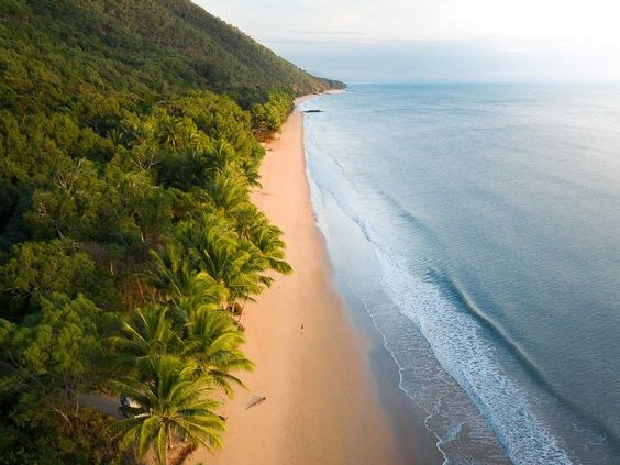Pantai Paling Mematikan di Dunia, Hunian Ribuan Buaya