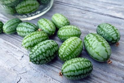 5 Manfaat Cucamelon, Buah Mungil Mirip Mentimun dan Semangka