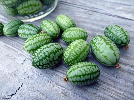 5 Manfaat Cucamelon, Buah Mungil Mirip Mentimun dan Semangka