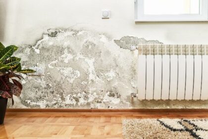 Mengenal Black Mold, Jamur Hitam di Tembok yang Berbahaya