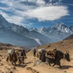 5 Destinasi Wisata Rekomendasi National Geographic 2024