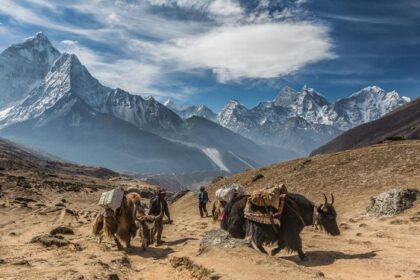 5 Destinasi Wisata Rekomendasi National Geographic 2024