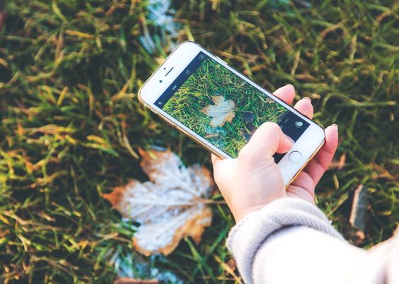 5 Cara Mengembalikan Foto yang Terhapus di Android dan IOS!