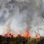 4 Bencana Besar Karena Manusia di Dunia, Timbul Banyak Korban