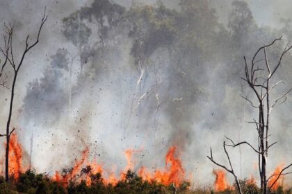 4 Bencana Besar Karena Manusia di Dunia, Timbul Banyak Korban
