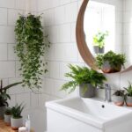 5 Tanaman Hias yang Cocok Disimpan di Kamar Mandi
