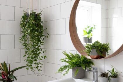 5 Tanaman Hias yang Cocok Disimpan di Kamar Mandi