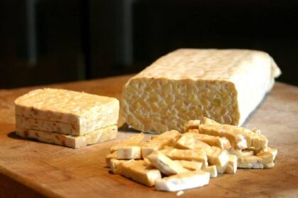 Tanda Tahu dan Tempe Mulai Membusuk, Yuk Kenali Penyebabnya