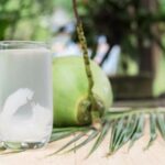 7 Orang yang Tak Boleh Minum Air Kelapa