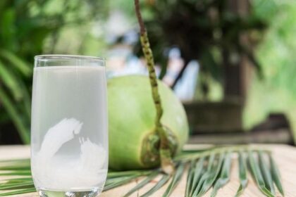 7 Orang yang Tak Boleh Minum Air Kelapa