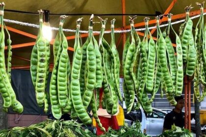 7 Cara Menghilangkan Bau Pete di Mulut