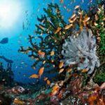 Fakta Menarik Pulau Weh, Surga di Ujung Barat Indonesia