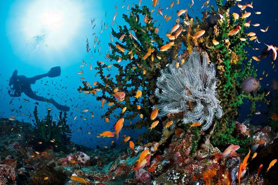 Fakta Menarik Pulau Weh, Surga di Ujung Barat Indonesia