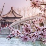 Musim Terbaik Jalan-jalan ke Korea Selatan, Yuk Catat!